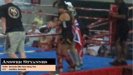 answer killer bees 1