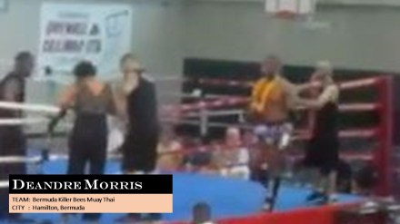 KILLER BEES 3 deandre